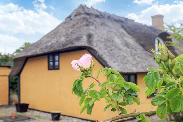 Foto van 6 persoons vakantie huis in Rudkøbing - Vakantiehuis in Rudkøbing - View