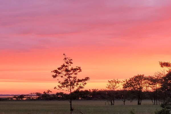 Foto van 6 persoons vakantie huis in Oksbøl-By Traum - Vakantiehuis in Oksbøl - Untagged