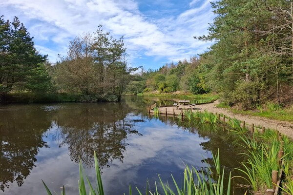 Foto van 6 persoons vakantie huis in Oksbøl-By Traum - Vakantiehuis in Oksbøl - WaterView