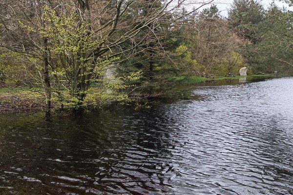 Foto van 6 persoons vakantie huis in Oksbøl-By Traum - Vakantiehuis in Oksbøl - WaterView