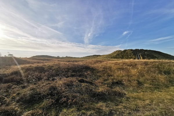 Foto van 6 persoons vakantie huis in Rømø-By Traum - Vakantiehuis in Rømø - Untagged
