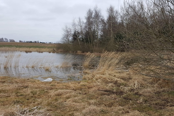 Foto van 6 persoons vakantie huis in Jægerspris-By Traum - Vakantiehuis in Jægerspris - WaterView