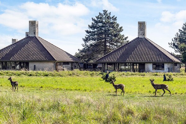 Foto van 6 persoons vakantie huis in Karrebæksminde - Vakantiehuis in Karrebæksminde - Indoor
