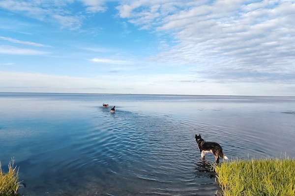 Foto van 6 persoons vakantie huis in Ørsted-By Traum - Vakantiehuis in Ørsted - WaterView