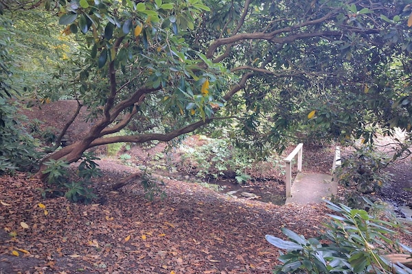 Foto van 6 persoons vakantie huis in Sæby-By Traum - Vakantiehuis in Sæby - Untagged