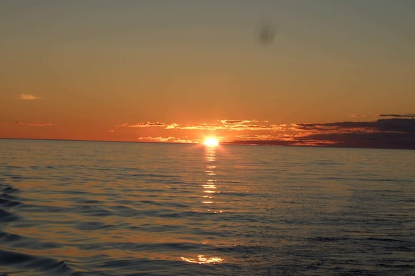 Foto van 6 persoons vakantie huis in Rebbenes - Vakantiehuis in Rebbenes - Untagged