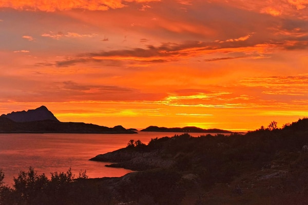 Foto van 6 persoons vakantie huis in Rebbenes - Vakantiehuis in Rebbenes - Untagged