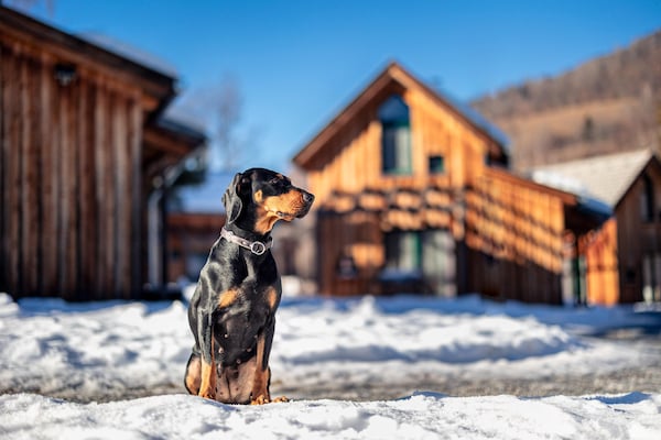 Foto van Charmant familie appartement in Steiermark - Vakantiehuis in Kreischberg Murau - Ambiance