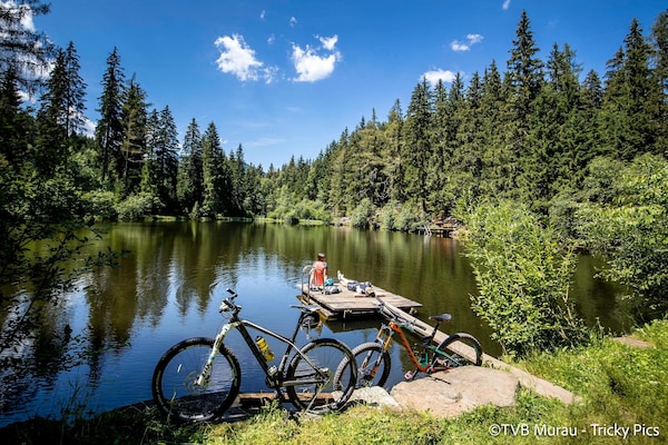 Foto van Charmant familie appartement in Steiermark - Vakantiehuis in Kreischberg Murau - ViewSummer