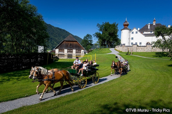 Foto van Charmant familie appartement in Steiermark - Vakantiehuis in Kreischberg Murau - AreaSummer1KM
