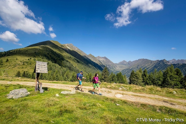 Foto van Charmant familie appartement in Steiermark - Vakantiehuis in Kreischberg Murau - AreaSummer5KM