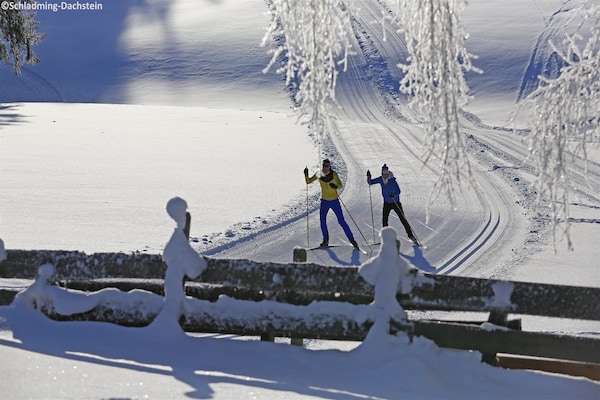 Foto van Chalet met warm zwembad op terras - Vakantiehuis in Ennsling - AreaWinter1KM