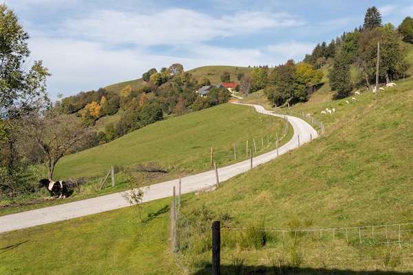 Foto van Berghut in Eberstein bij skigebied - Vakantiehuis in Eberstein - ViewSummer