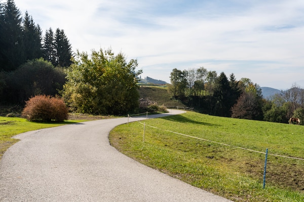 Foto van Berghut in Eberstein bij skigebied - Vakantiehuis in Eberstein - ViewSummer