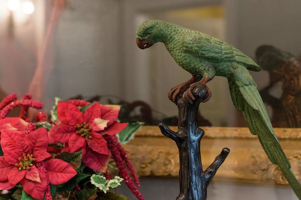 Foto van Prachtig landhuis in een park nabij Rochefort - Vakantiehuis in Forrieres - Ambiance