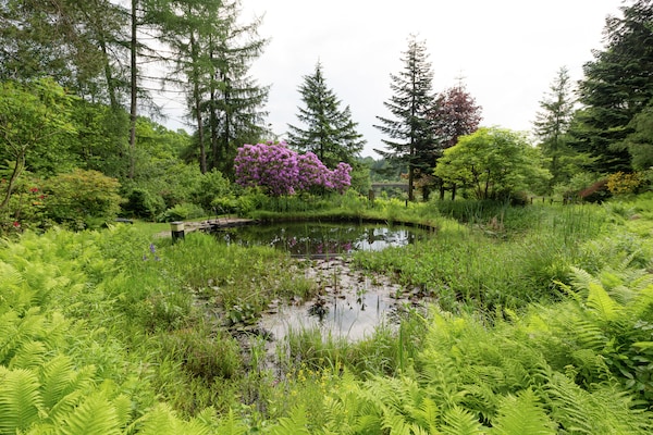 Foto van Vrijstaande vakantiewoning in de Ardennen met biozwembad - GardenSummer