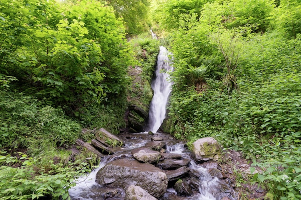 Foto van Vrijstaande vakantiewoning in de Ardennen met biozwembad - AreaSummer5KM