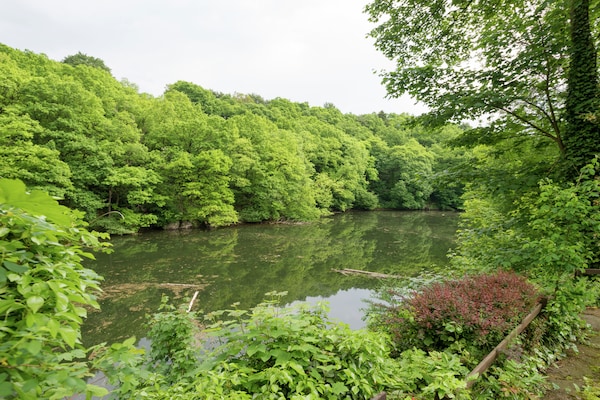 Foto van Vrijstaande vakantiewoning in de Ardennen met biozwembad - ViewSummer