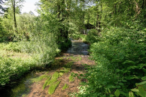 Foto van Sourbrodt Verblijf met Zwembad - Vakantiehuis in Sourbrodt - AreaSummer20KM