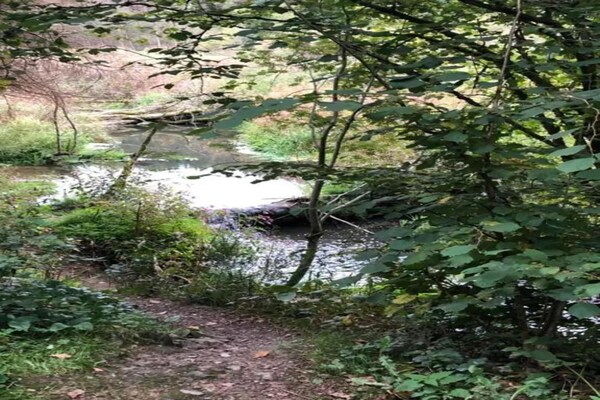 Foto van Prachtige villa met verwarmd buitenzwembad - Vakantiehuis in Manhay (lamormenil) - AreaSummer20KM