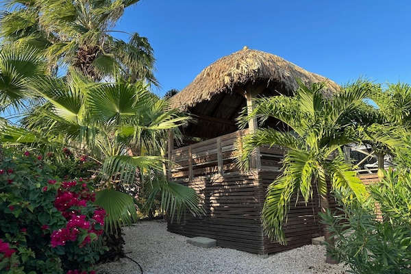 Foto van Villa in Jan Thiel met privézwembad - Vakantiehuis in Jan Thiel - GardenSummer