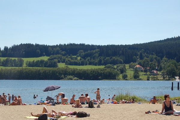 Foto van Vakantiehuis bij Sumava Skigebied - Vakantiehuis in Horni-Plana/Zlabek - AreaSummer5KM