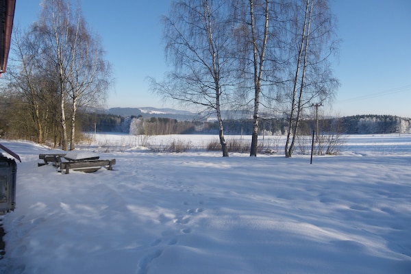 Foto van Vakantiehuis bij Sumava Skigebied - Vakantiehuis in Horni-Plana/Zlabek - ViewWinter