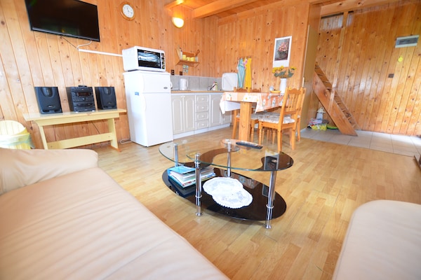 Foto van Huisdiervriendelijk vakantiehuis - Vakantiehuis in Bechyne - LivingRoom
