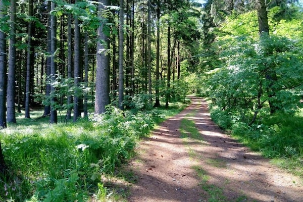 Foto van Bosontsnapping met tuin - Vakantiehuis in Staré Křečany - AreaSummer5KM