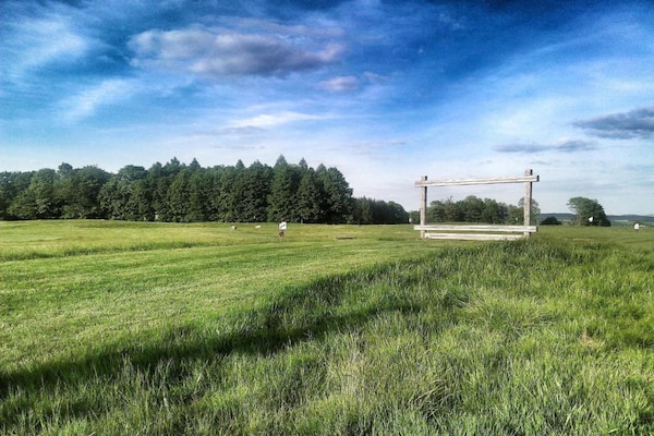 Foto van Bosontsnapping met tuin - Vakantiehuis in Staré Křečany - AreaSummer5KM