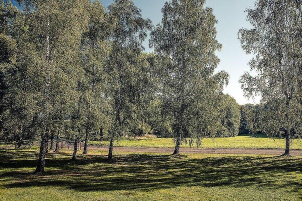 Foto van Bosontsnapping met tuin - Vakantiehuis in Staré Křečany - AreaSummer5KM