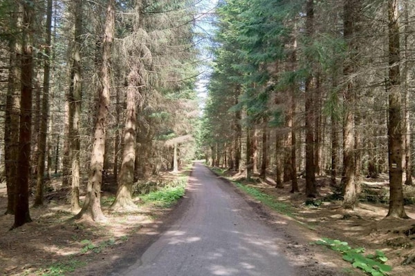 Foto van Bosontsnapping met tuin - Vakantiehuis in Staré Křečany - AreaSummer5KM