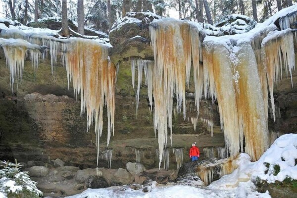 Foto van Bosontsnapping met tuin - Vakantiehuis in Staré Křečany - AreaWinter5KM
