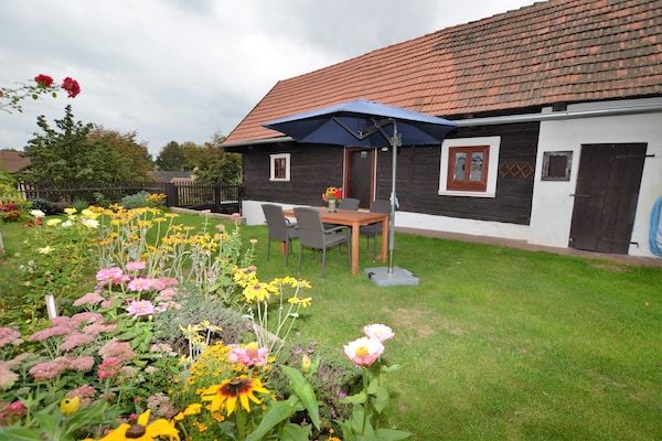 Foto van Vakantiehuis in bos met privézwembad - Vakantiehuis in Petrohrad - ExteriorSummer