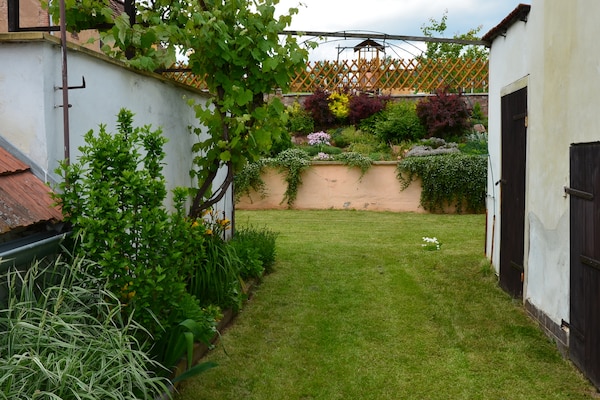 Foto van Vakantiehuis in bos met privézwembad - Vakantiehuis in Petrohrad - GardenSummer