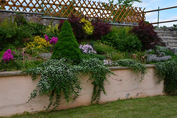 Foto van Vakantiehuis in bos met privézwembad - Vakantiehuis in Petrohrad - GardenSummer