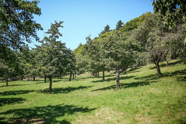 Foto van Vakantiehuis in bos met privézwembad - Vakantiehuis in Petrohrad - AreaSummer20KM