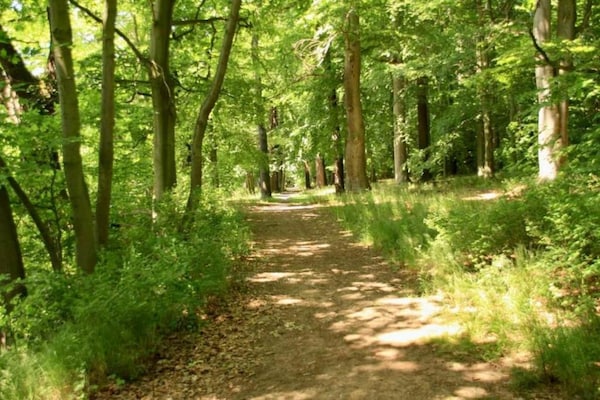 Foto van Vakantiehuis in bos met privézwembad - Vakantiehuis in Petrohrad - AreaSummer20KM