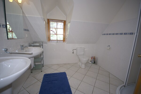 Foto van Privézwembadvilla in Stupna - Vakantiehuis in Pecka - BathRoom