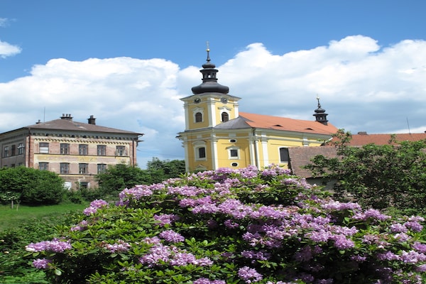 Foto van Privézwembadvilla in Stupna - Vakantiehuis in Pecka - AreaSummer5KM