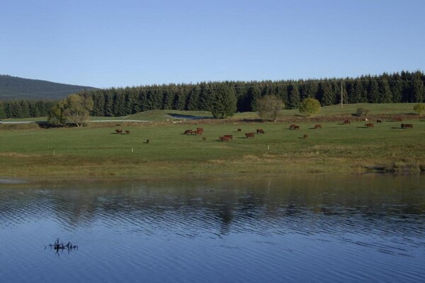 Foto van Luxe wellnessverblijf in Elend - Vakantiehuis in Elend - AreaSummer20KM