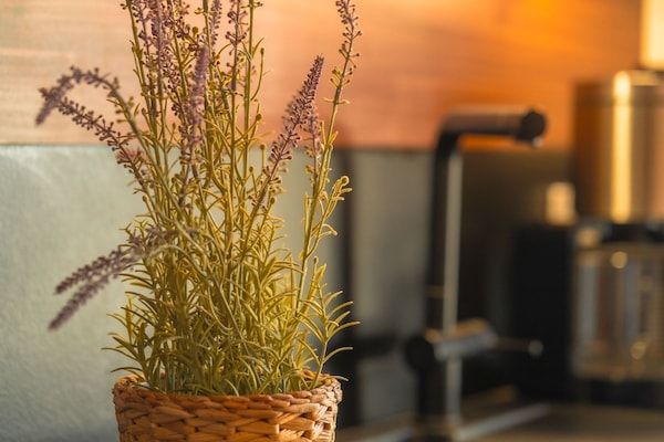 Foto van Vakantiehuis met zwembad en sauna aan het Duemmermeer - Ambiance