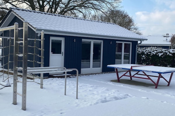 Foto van Vakantiehuis met zwembad en sauna aan het Duemmermeer - ExteriorWinter