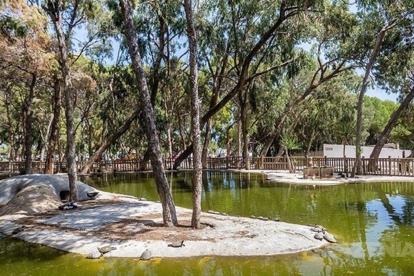 Foto van Vakantiehuis Rojales bij Golfbaan - Vakantiehuis in Rojales, Ciudad Quesada - AreaSummer5KM