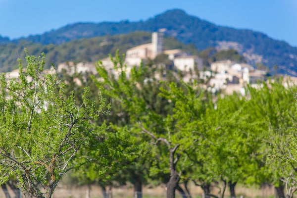 Foto van Tramuntana Retreat & Zwembad - Vakantiehuis in Selva, Illes Balears - AreaSummer5KM