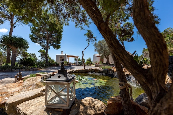 Foto van Vakantiehuis met privé zwembad - Vakantiehuis in San Carlos - Ambiance