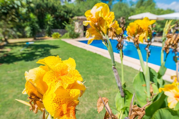 Foto van Rustige finca met uitzicht op het zwembad - Vakantiehuis in Manacor, Illes Balears - Ambiance