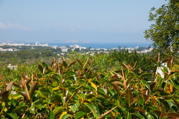 Foto van Stijlvolle Ibiza Villa met Zwembad - Vakantiehuis in San José - ViewSummer