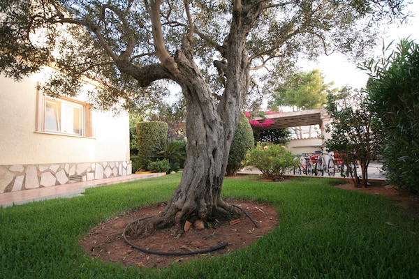 Foto van Villa op een steenworp afstand van de zee - Vakantiehuis in Denia - GardenSummer
