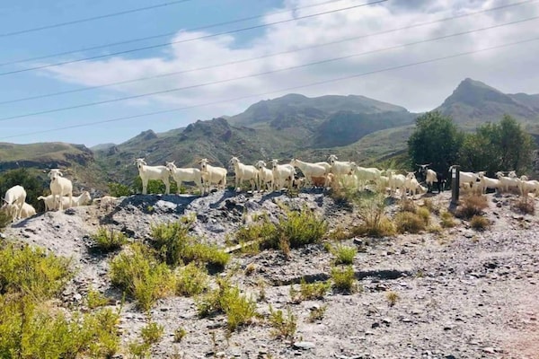 Foto van Rustig uitzicht in Pedreguer - Vakantiehuis in Pedreguer - AreaSummer20KM